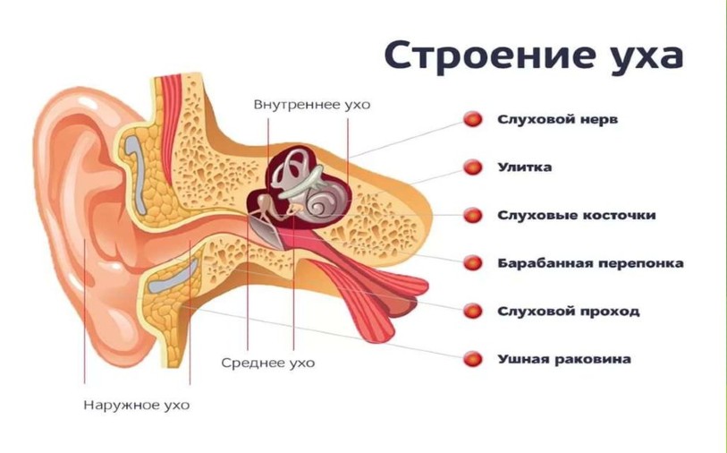 Если у вас появляется боль в ухе, можно попробовать использовать некоторые домашние методы, чтобы облегчить дискомфорт. Например, можно нанести тепло на больное место, используя горячую воду в пластиковом пакете или грелку. Но стоит помнить, что эти методы могут быть неправильными в некоторых случаях, поэтому важно проконсультироваться с врачом, прежде чем применять их.